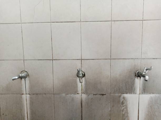Best Flooded house restoration  in Argentine, MI